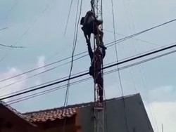 Pria Sidoarjo Tewas di Tower Radio Amatir Setinggi 17 Meter