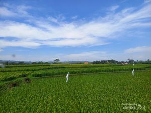 Pengertian Lingkungan Alam Beserta Contoh, Manfaat, hingga Jenisnya Pengertian Lingkungan Alam Beserta Contoh, Manfaat, hingga Jenisnya