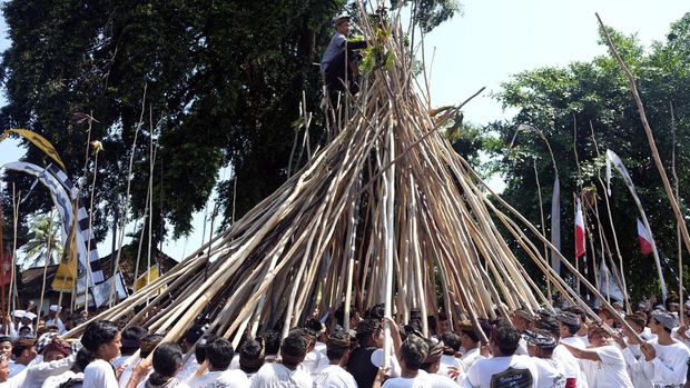 TRADISI MEKOTEK SAAT HARI RAYA KUNINGAN DI BALI Seorang pemuda berdiri di atas tongkat yang disatukan saat Tradisi Mekotek di Desa Munggu, Badung, Bali, Sabtu (14/1/2023). Tradisi yang digelar saat Hari Raya Kuningan tersebut diikuti 4.000 warga desa setempat sebagai simbol kemenangan dan untuk tolak bala. ANTARA FOTO/Nyoman Hendra Wibowo/foc.