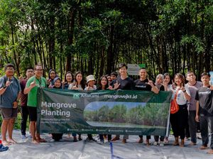 AdaKami Gelar Aksi Tanam 500 Pohon Bersama Komunitas Mangrove Jakarta