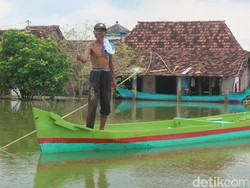 Nestapa Warga Mintobasuki Pati Kebanjiran Nyaris 3 Pekan Tak Jua Surut