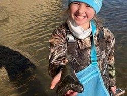 Bocah Ini Temukan Fosil Gigi Hiu Raksasa yang Punah 3,5 Juta Tahun Lalu