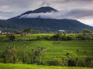 Keindahan Gunung Batukaru: Jalur Meditasi dan Jejak Mitologi Bali Keindahan Gunung Batukaru: Jalur Meditasi dan Jejak Mitologi Bali