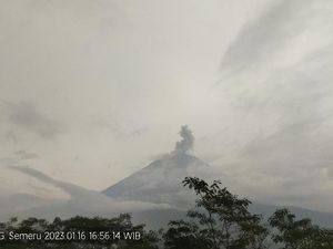 Gunung Semeru Erupsi Sore Ini, Tinggi Letusan Capai 700 Meter