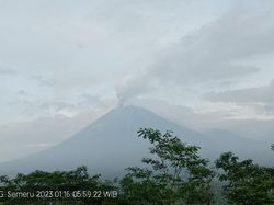 Gunung Semeru Erupsi dengan Ketinggian Letusan 500 Meter