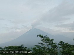 Gunung Semeru Erupsi dengan Ketinggian Letusan 500 Meter