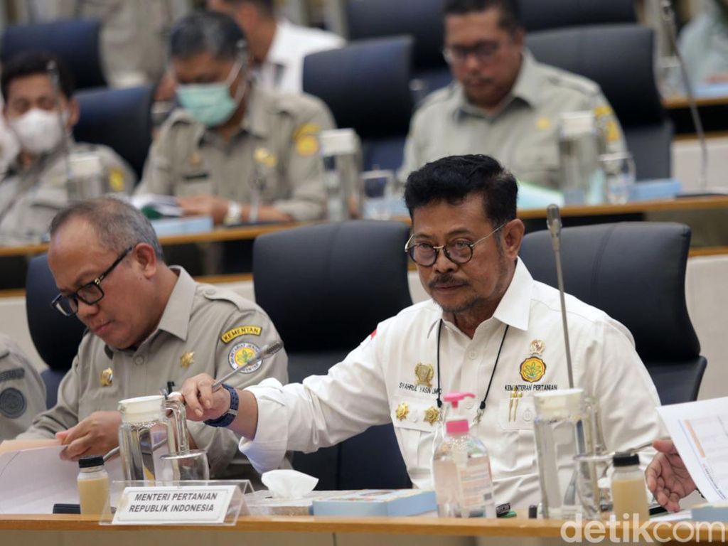 Jawaban Syahrul Yasin Limpo usai Didesak Mundur PDIP Dari Mentan