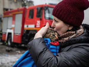 Studi: Relasi dengan Hewan Peliharaan Setara Emosional dengan Manusia
