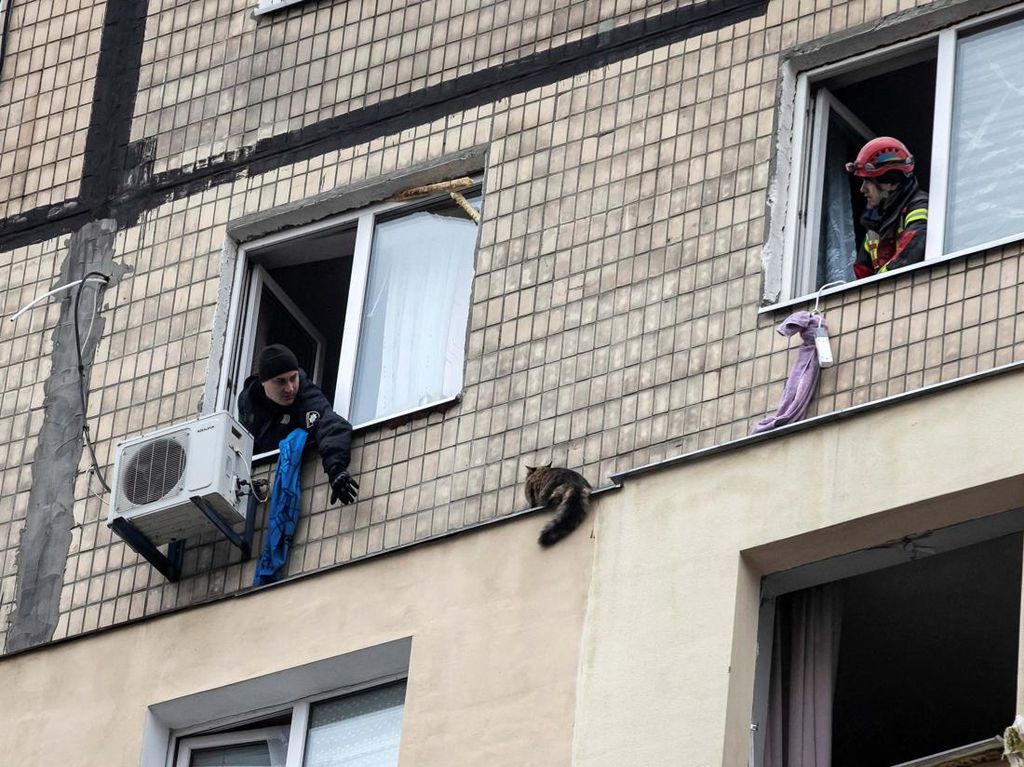 Momen Penyelamatan Kucing Terjebak di Apartemen yang Diserang Rusia