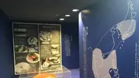 Berkonsep Unik, Museum Sushi di Jepang Ini Buka di Tengah Mall