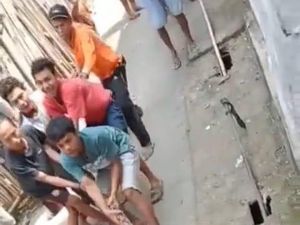 Heboh Warga Dompu Tangkap Ular Piton 3 Meter di Got
