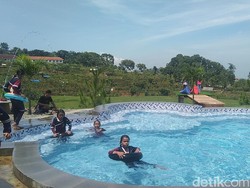 Wisata Sawah Bengkok Majalengka yang Bercita Rasa Bali