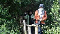 5 Surga Mangrove di Jakarta Cocok buat Melarikan Diri dari Polusi