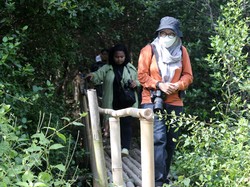 5 Surga Mangrove di Jakarta Cocok buat Melarikan Diri dari Polusi