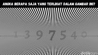 Bisa Temukan Angka Tersembunyi di Gambar Ini? Yuk, Adu Ketajaman Mata