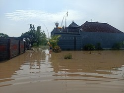 Hujan Deras, 71 Rumah di Jembrana Terendam Banjir