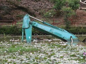 Cerita Ekskavator 7 Tahun Terjebak di Danau Kebun Buah Mangunan Bantul Cerita Ekskavator 7 Tahun Terjebak di Danau Kebun Buah Mangunan Bantul