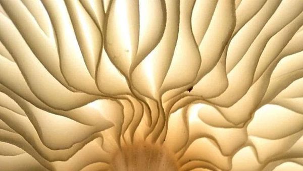 Bikin Tercengang, Ketika Objek Diambil dari Sudut Berbeda