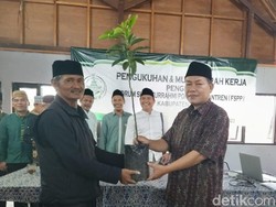 Pemberdayaan Ekonomi Pesantren di Ciamis Lewat Alpukat