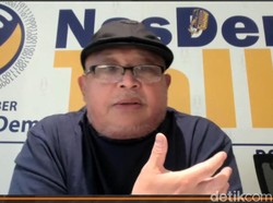 Wasekjen NasDem: 18 Kali Saya ke Vatikan tapi Dituduh Kadrun