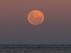 Fenomena Super New Moon, Waspada Banjir Rob Pantai Utara Pulau Flores