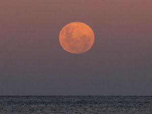 Kapan Super New Moon Januari 2023? Cek Info dan Dampaknya Kapan Super New Moon Januari 2023? Cek Info dan Dampaknya