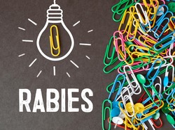 8 Provinsi Bebas Rabies, Ini Daftarnya