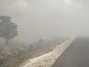 Penampakan Jalanan di Natuna yang Tertutup Asap Tebal Akibat Karhutla