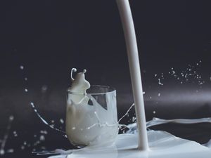 Bolehkah Minum Obat Setelah Minum Susu? Ini Penjelasan Ahli Farmasi UGM Bolehkah Minum Obat Setelah Minum Susu? Ini Penjelasan Ahli Farmasi UGM