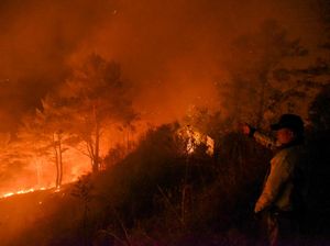 Penampakan Kebakaran Hutan Melanda  700 Hektar Lahan di Chili Penampakan Kebakaran Hutan Melanda  700 Hektar Lahan di Chili