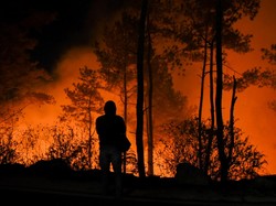 Karhutla Artinya Apa? Ini Arti Singkatan dan Serba-serbinya