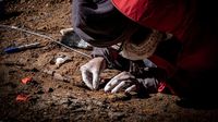 Penampakan Fosil Megaraptor yang Ditemukan di Chile