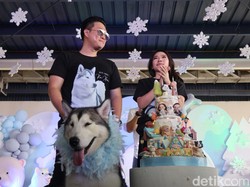 Gokil, Ulang Tahun Anjing Dirayakan di Mall dan Undang 120 Anjing Lain