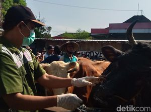 Pasar Legen dan Pasar Sapi Jatinom Klaten Tutup Saat Coblosan Pasar Legen dan Pasar Sapi Jatinom Klaten Tutup Saat Coblosan