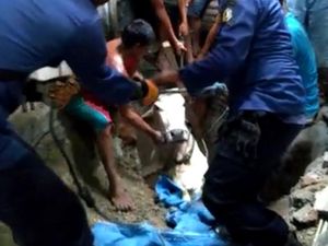 Dramatisnya Evakuasi Sapi di Bojonegoro yang Lepas Lalu Tercebur Sumur Dramatisnya Evakuasi Sapi di Bojonegoro yang Lepas Lalu Tercebur Sumur
