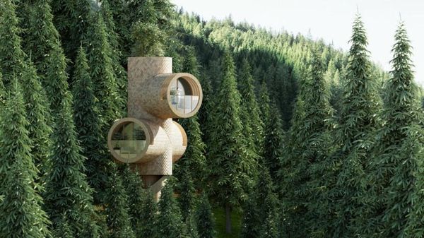 Unik Banget, Rumah Pohon Ini Mirip Minion