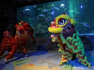 Ancol Siapkan Sejumlah Kejutan untuk Rayakan Imlek