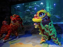 Ancol Siapkan Sejumlah Kejutan untuk Rayakan Imlek