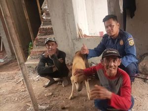 Damkar Bogor Evakuasi Anjing yang Terjebak 2 Hari di Atas Bangunan
