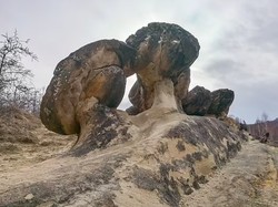 5 Fakta Trovant, Batu yang Hidup dan Bisa Beranak