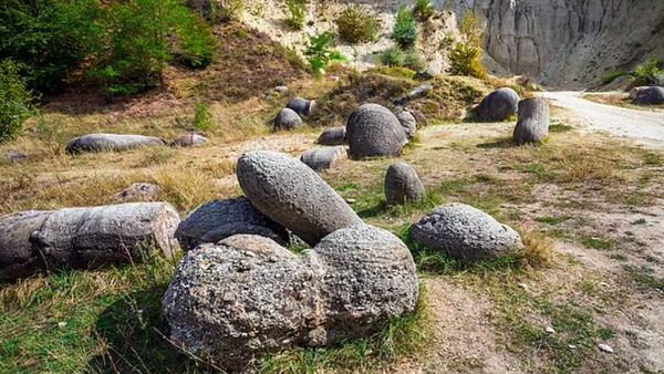 Wujud Batu Hidup yang Bisa Beranak