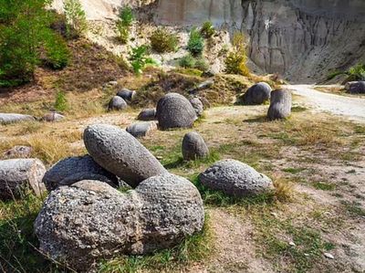 Wujud Batu Hidup yang Bisa Beranak