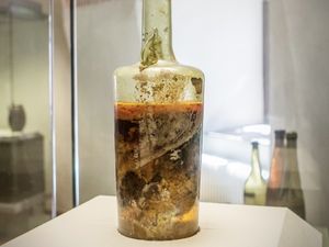 Botol Wine Tertua di Dunia Ini Umurnya 1.700 Tahun dan Masih Utuh! Botol Wine Tertua di Dunia Ini Umurnya 1.700 Tahun dan Masih Utuh!