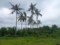 Nasib Bandara Bali Utara, Pernah Ditinggal Investor hingga Diamuk Megawati