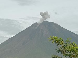Gunung Semeru Erupsi, Ketinggian Letusan 500 Meter dari Puncak