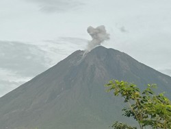 Gunung Semeru Erupsi, Ketinggian Letusan 500 Meter dari Puncak