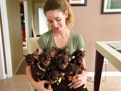 Milly, Anjing Paling Banyak Dikloning di Dunia