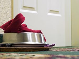 Bule Kecele, Klaim Booking Vila Mewah di Bali eh Banyak Kecoa dan Berjamur