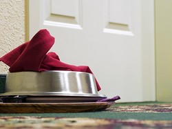 Bule Kecele, Klaim Booking Vila Mewah di Bali eh Banyak Kecoa dan Berjamur