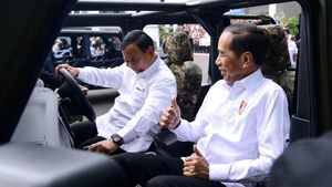 Kebersamaan Jokowi-Prabowo: Ngobrol Empat Mata hingga Jajal Maung